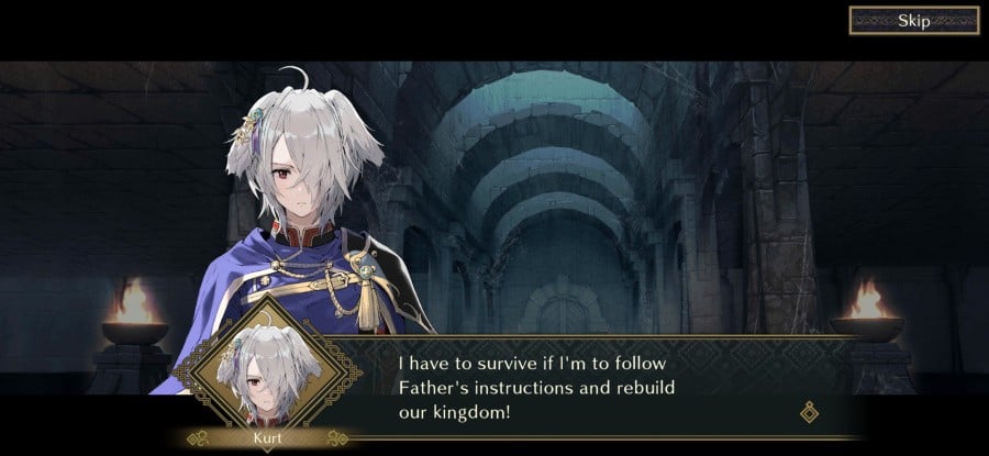 Fire Emblem Shadows Review - Screenshot 1 von 7